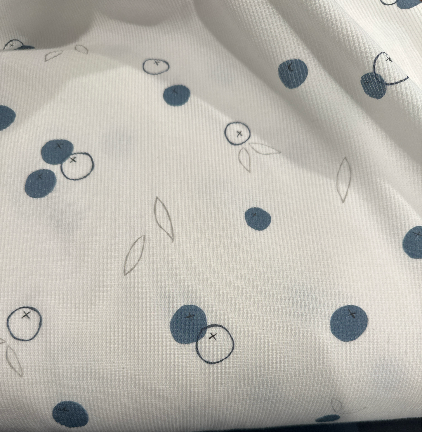 Blueberries & lines Rib knit fabric